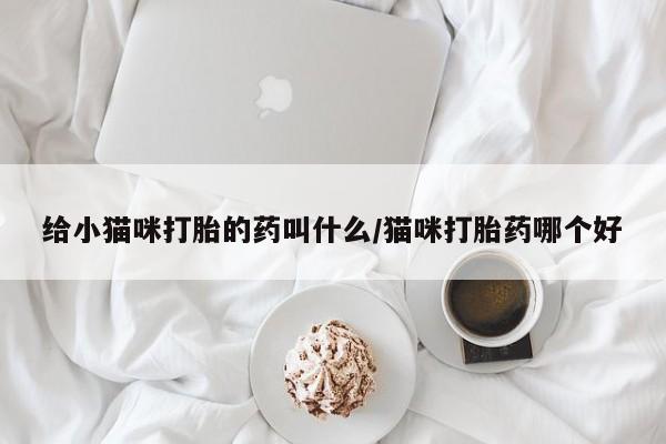 哪个网店有打胎药卖给小猫咪打胎的药叫什么/猫咪打胎药哪个好