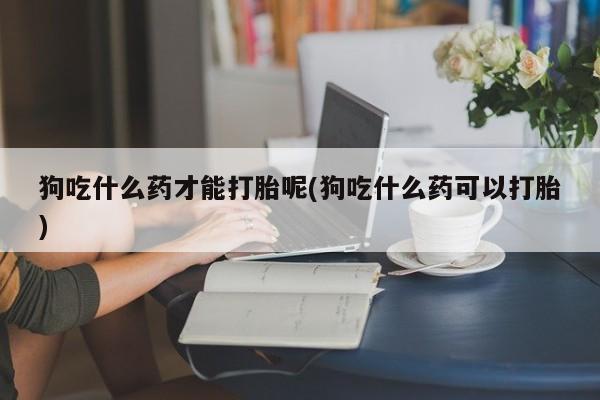 哪个网店有打胎药卖狗吃什么药才能打胎呢(狗吃什么药可以打胎)