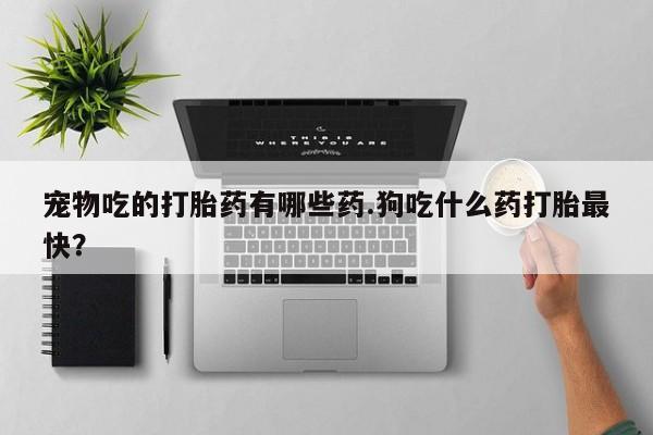 哪个网店有打胎药卖宠物吃的打胎药有哪些药.狗吃什么药打胎最快？