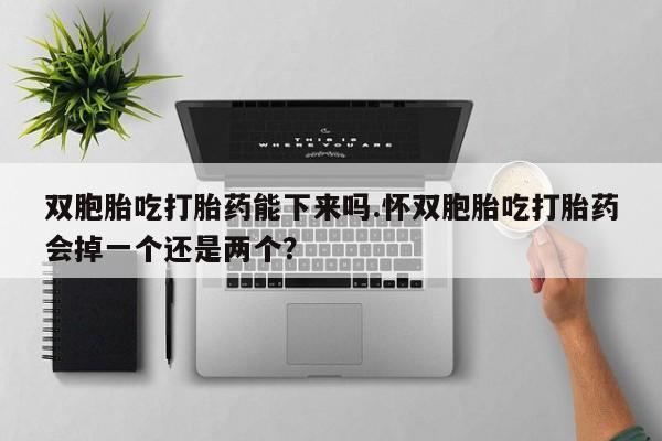 哪个网店有打胎药卖双胞胎吃打胎药能下来吗.怀双胞胎吃打胎药会掉一个还是两个？