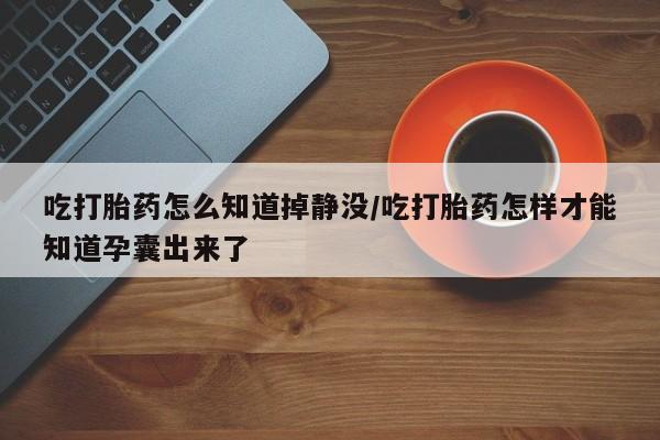 哪个网店有打胎药卖吃打胎药怎么知道掉静没/吃打胎药怎样才能知道孕囊出来了