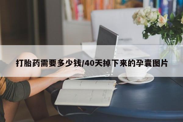 哪个网店有打胎药卖打胎药需要多少钱/40天掉下来的孕囊图片