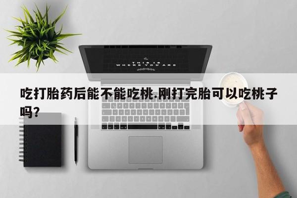 哪个网店有打胎药卖吃打胎药后能不能吃桃.刚打完胎可以吃桃子吗？